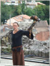 spectacle d'oiseaux