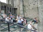 Spectacle des oiseaux le groupe