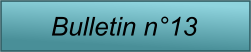Bulletin n13
